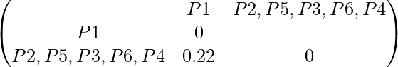 \begin{pmatrix} & P1 & P2,P5,P3,P6,P4 \\ P1 & 0 \\ P2,P5,P3,P6,P4 & 0.22 & 0 \end{pmatrix}