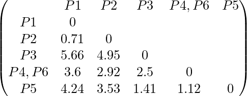 \begin{pmatrix} & P1 & P2 & P3 & P4,P6 & P5 \\ P1 & 0 \\ P2 & 0.71 & 0 \\ P3 & 5.66 & 4.95 & 0 \\ P4,P6 & 3.6 & 2.92 & 2.5 & 0 \\ P5 & 4.24 & 3.53 & 1.41 & 1.12 & 0 \\ \end{pmatrix}