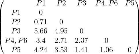 \begin{pmatrix} & P1 & P2 & P3 & P4,P6 & P5 \\ P1 & 0 \\ P2 & 0.71 & 0 \\ P3 & 5.66 & 4.95 & 0 \\ P4,P6 & 3.4 & 2.71 & 2.37 & 0 \\ P5 & 4.24 & 3.53 & 1.41 & 1.06 & 0 \\ \end{pmatrix}