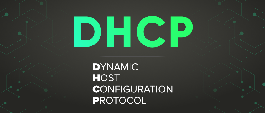 DHCP-完整表格