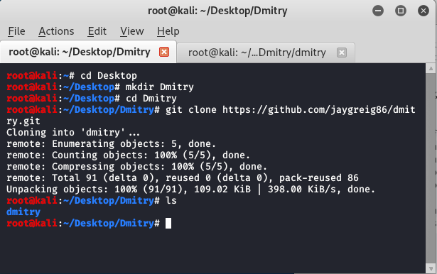 Kali Linux 中的 Dmitry 工具 |被动信息收集工具。