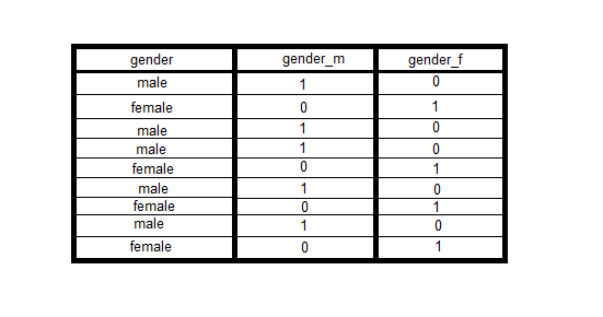 虚拟变量