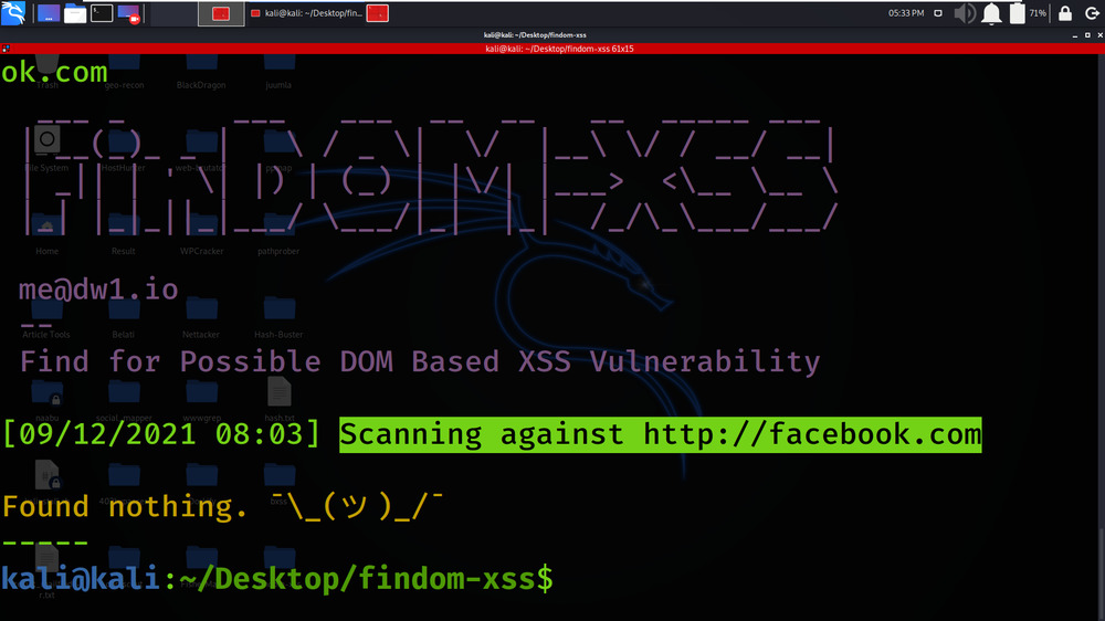 FinDOM-XSS - 基于 DOM 的快速 XSS 漏洞扫描器