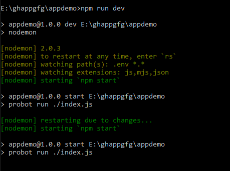 npm-run-dev-initial-success-terminal