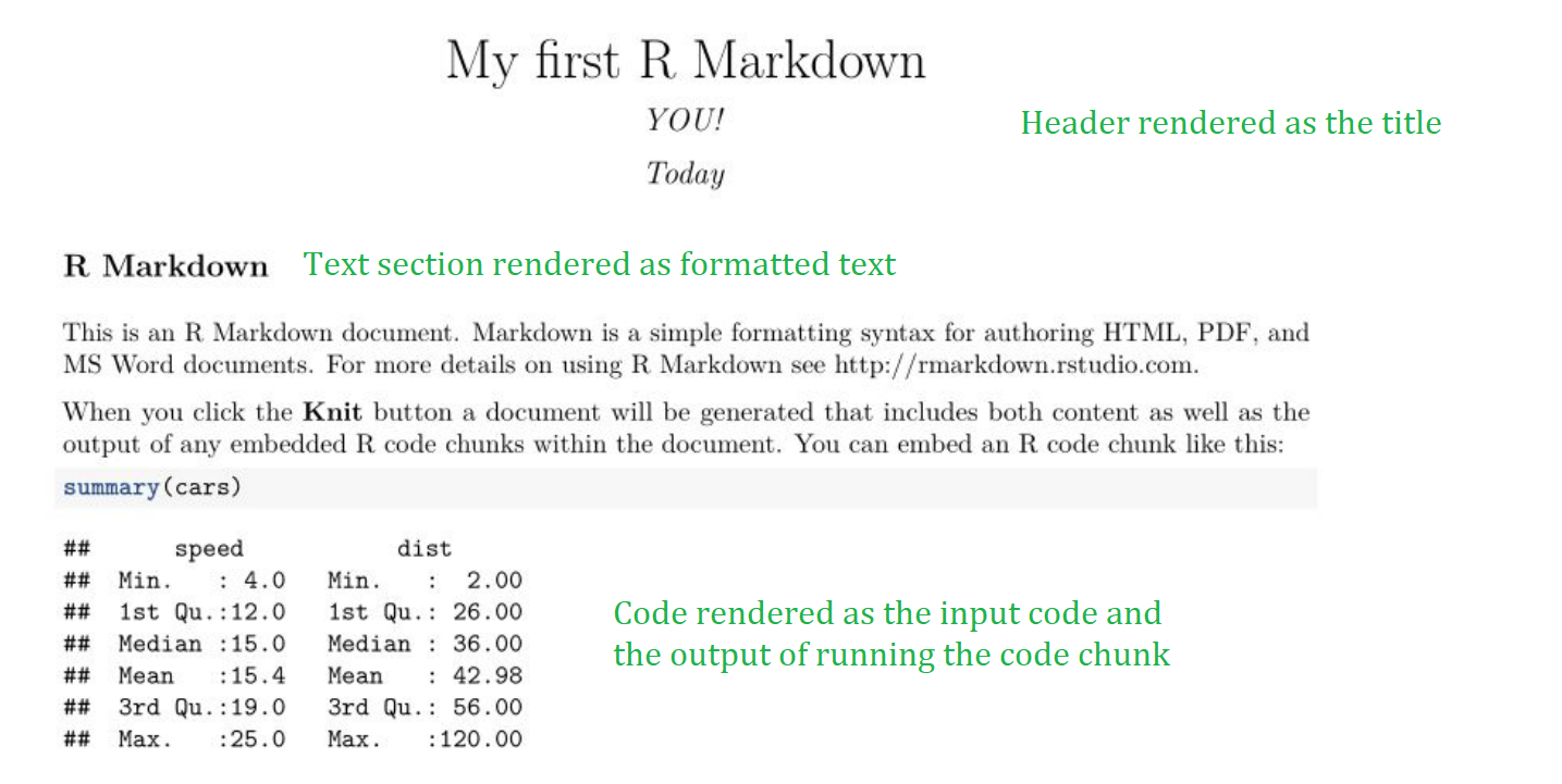 您通过编织 Markdown 文件创建的渲染 PDF