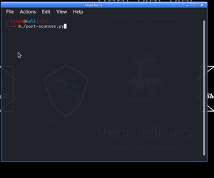用python在Kali Linux终端上设计一个端口扫描器