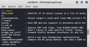 Scapy - Kali Linux 中的数据包操作