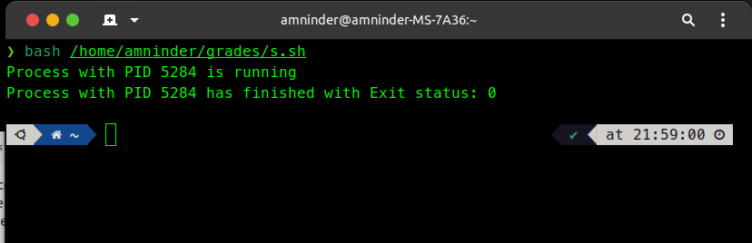 在 Linux 中演示等待命令的 Shell 脚本