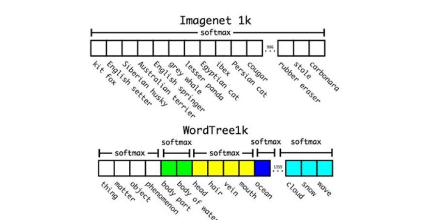 ImageNet-vs-WordTree