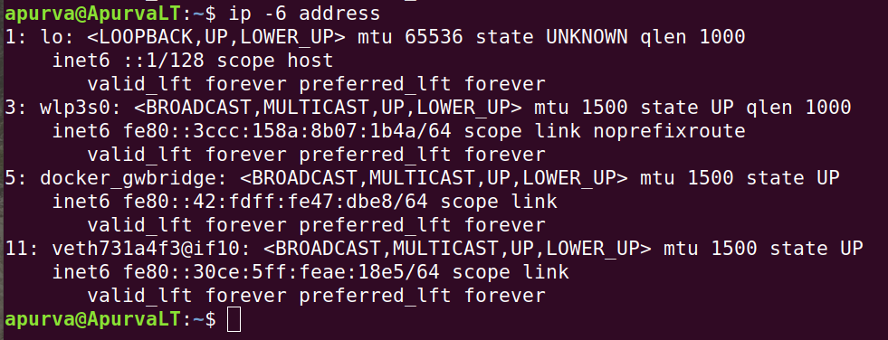 仅显示具有 IPv6 地址地址的所有网络设备