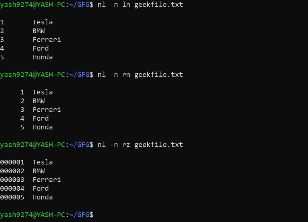 使用不同的数字格式打印行